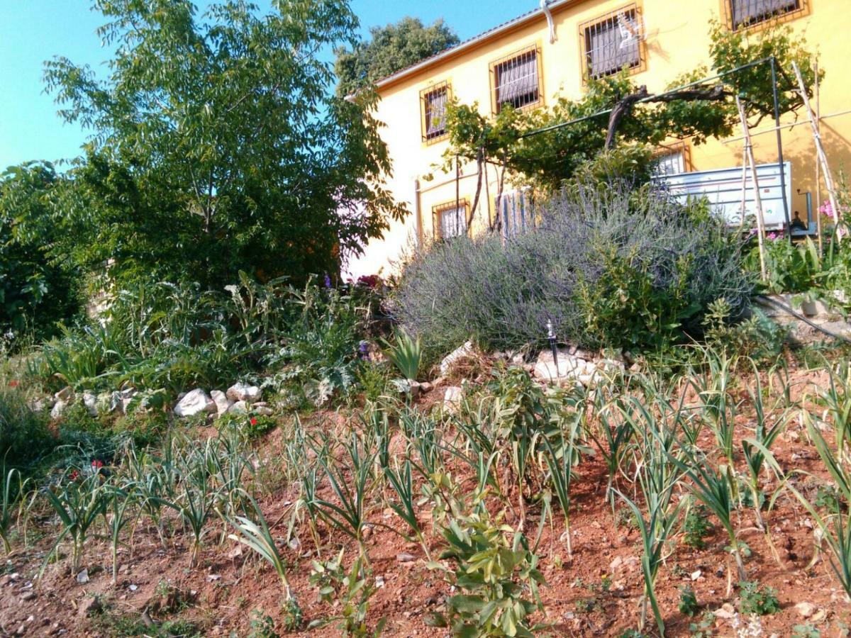 Cortijo De La Cruz Villa Iznájar Eksteriør bilde